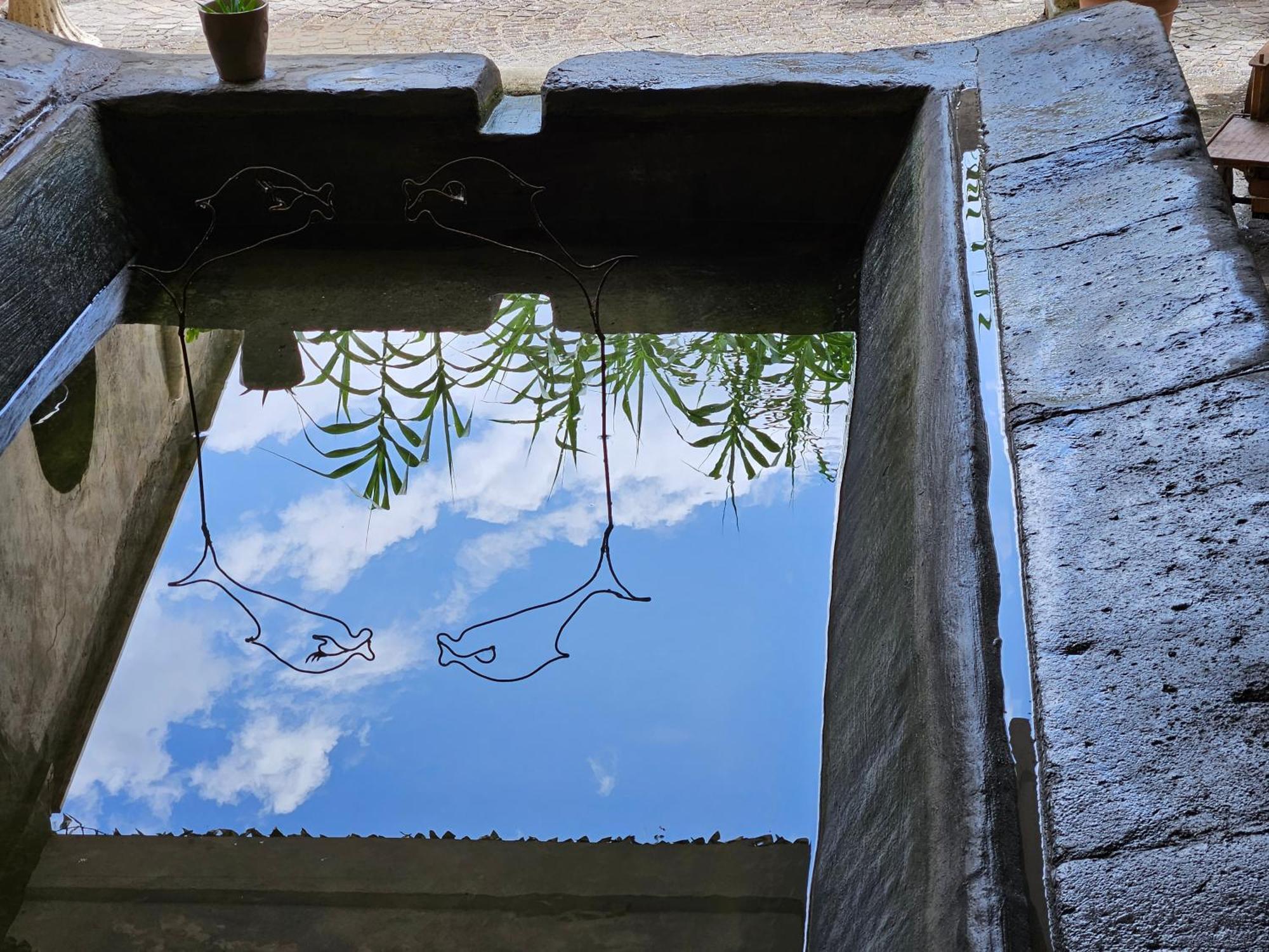 Bed and Breakfast L' Antico Lavatoio Rignano Flaminio Exterior foto