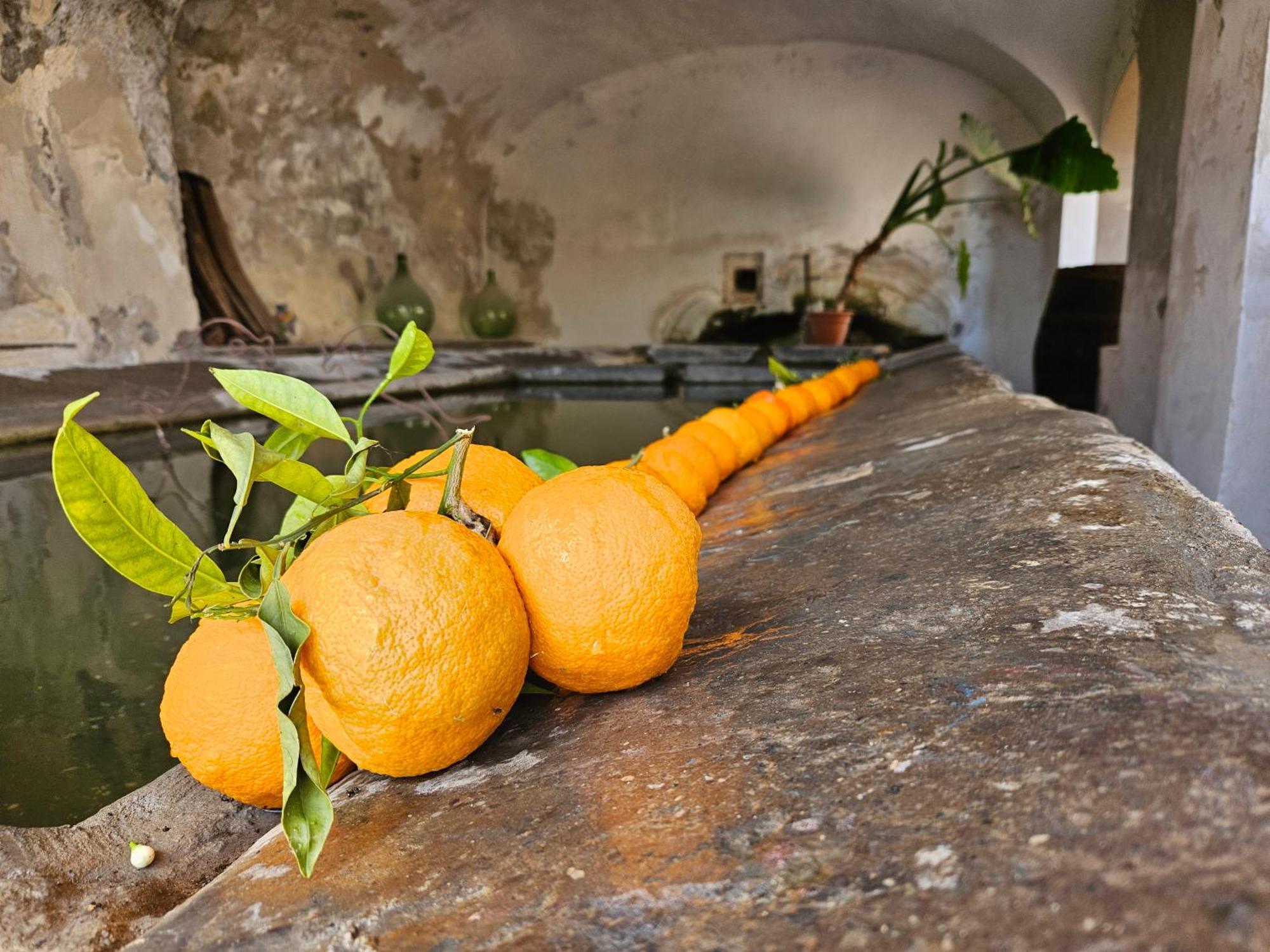 Bed and Breakfast L' Antico Lavatoio Rignano Flaminio Exterior foto