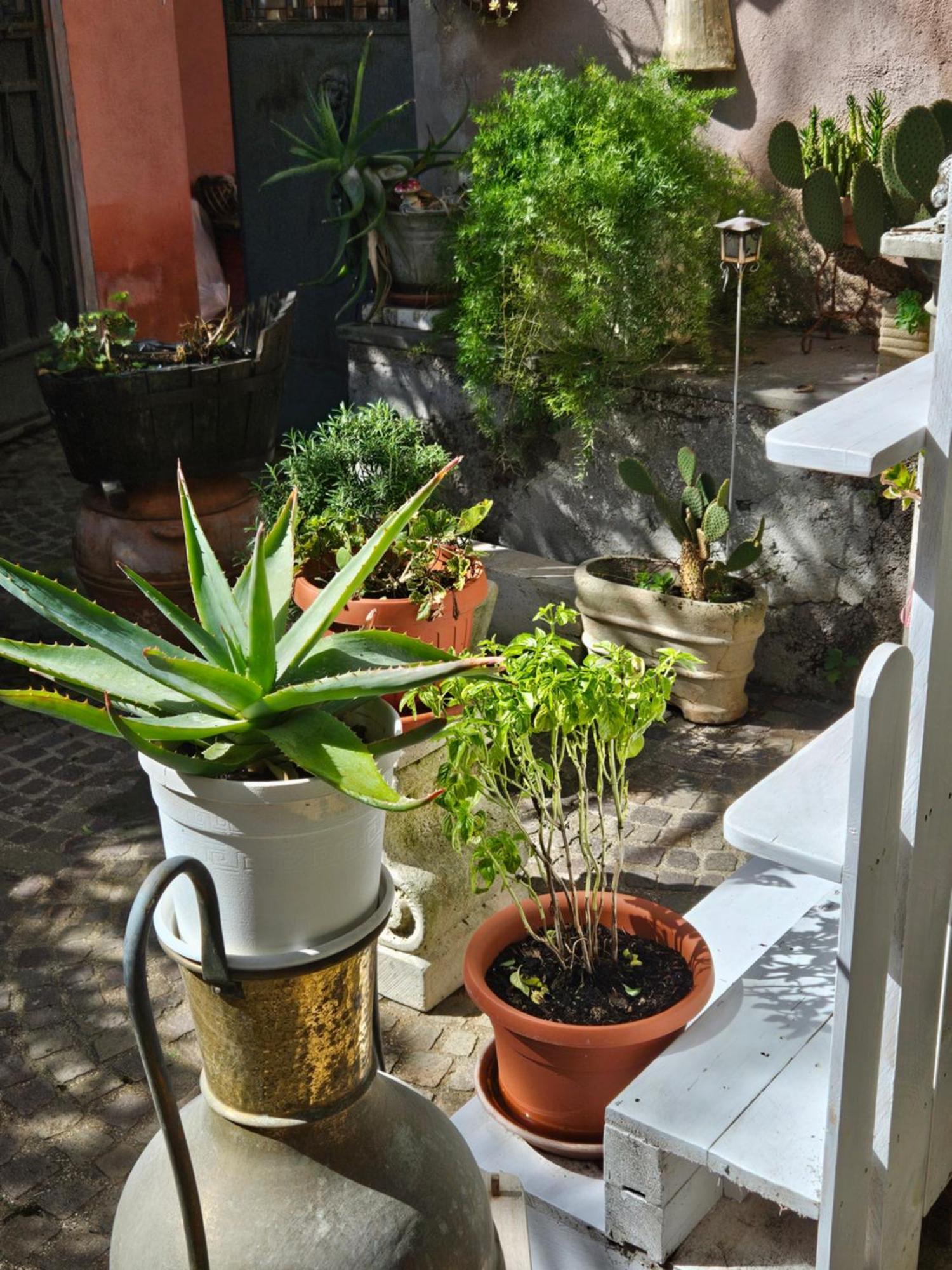 Bed and Breakfast L' Antico Lavatoio Rignano Flaminio Exterior foto